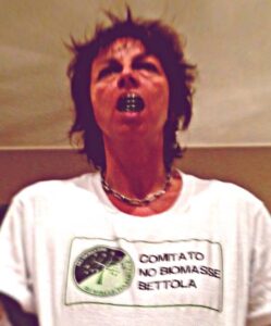 nannini biomasse