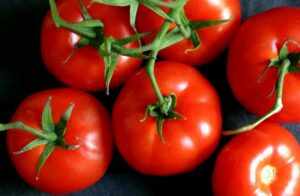 pomodoro