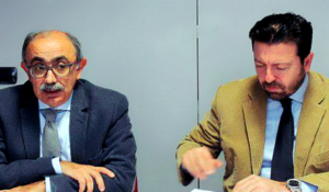 alleanza coop
