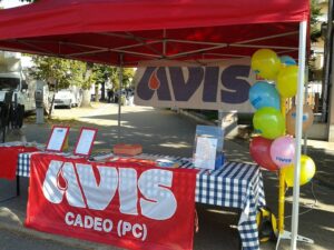avis cadeo