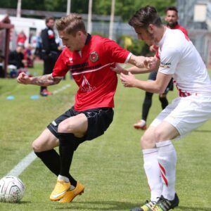 PIACENZA 30 APRILE 2016 PRO PIACENZA     SUDTIROL    ( FOTO CAVALLI ) CARDIN
