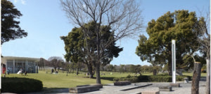 San Nicolò, il parco lineare che avrebbe dovuto essere realizzato lungo la via Lampugnana, su un'area in parte oggi wdificata e in parte previsaa come residenziale dal Piano Strutturale Comunale adottato