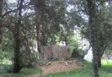 Fiorenzuola: Parco Lucca, due giorni per rifarsi il look