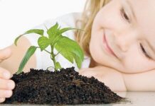 Ambiente, è nato il Ceas intercomunale