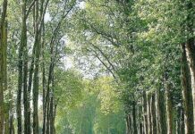 Parco della Pertite, contrapposizione ideologica