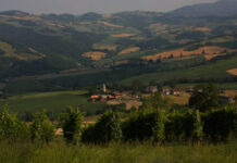 A Roccapulzana per San Fermo