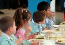 Scuola, anche la bio-mensa avrà la sua pagella