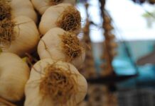 Fiera dell’aglio, a Monticelli si festeggia con cibo e spettacoli