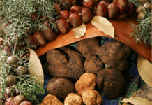 Tartufo protagonista a Pecorara Castagnate, autunno da gustare