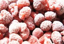 Epatite A per consumo di frutti di bosco surgelati, l’Ausl di Piacenza invita a bollire il prodotto