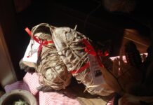 Macelleria Lommi, carne nostrana all’insegna tradizione