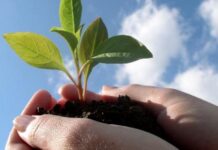 Cooperative, sviluppo sostenibile per tutti