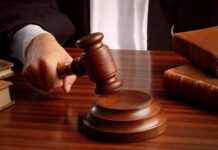 Bonifica, la sentenza: “non soggetta” alla tassa la maggior parte del territorio comunale