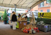 Monticelli festeggia l’aglio con l’attesa gara di cucina