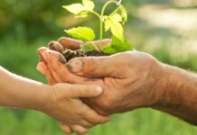Diventare consumatori consapevoli, tre incontri a Cadeo