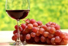 Sorgentedelvino Live, a Piacenza Expo sono protagonisti i vini naturali