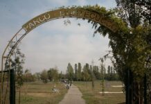 Guadagnare Salute alla Besurica: domenica attività per bambini e famiglie al Parco Montecucco