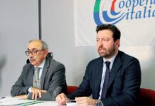 Alleanza cooperative, unione senza leadership
