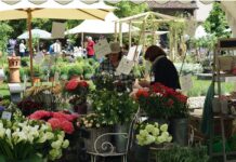 Frutti Antichi, alla scoperta delle rarità naturali al Castello di Paderna