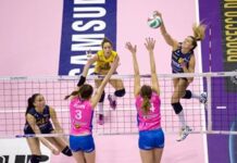 Volley: Meijners ko e Conegliano ubriaca la Nordmeccanica