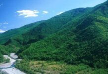 Confcooperative: “Coop di comunità soluzione anche per il nostro Appennino”