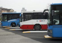 Al Palabanca con l’autobus ecologico: nuovo servizio per i tifosi della Gas Sales Piacenza