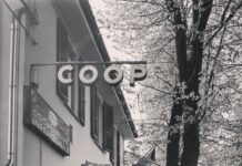 Musica, cene e dibattiti: Coop Infrangibile in festa per l’anniversario della Repubblica