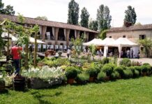 “Frutti Antichi”, a Paderna piante, fiori e frutti “dimenticati”