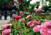 Floravilla a Castelsangiovanni: fiori e artigianato protagonisti