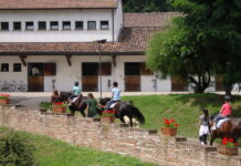 Sant’Eufemia, Summer Camp in inglese per ragazzi dai 6 agli 11 anni
