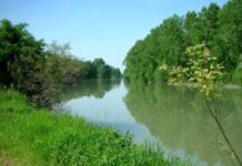 Pesca di frodo all’Oasi de Pinedo Rancan (Lega Nord): “La Regione intervenga”