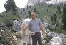 Agroalimentare, Maloberti (La Carne Che Piace): “Basta attacchi inutili. La politica tuteli il settore”