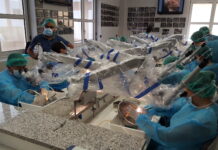 Clinica Piacenza, Gruppo otologico in cattedra Un corso internazionale sulla chirurgia dell’orecchio