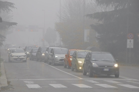 Auto immerse nello smog