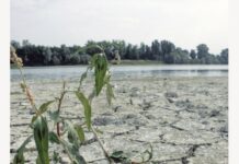 Siccità e nubifragi, danni per 100 milioni di euro Crotti, Coldiretti: “Servono interventi strutturali”