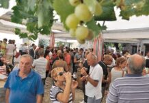 Val Tidone Wine Fest, seconda tappa: Malvasia protagonista a Ziano
