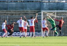 Piacenza avanti tutta Pro, rialzati e salvati