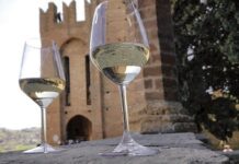 Monterosso festival, un assaggio di territorio A Castell’Arquato due giorni dedicati al vino Doc