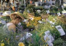 Floravilla, a Castel San Giovanni protagonista il giardino