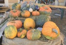 Central Market, edizione d’autunno in piazza Cavalli