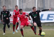 Piacenza, punto agrodolce. A Cuneo finisce 0-0