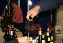 Sorgente del Vino live, 4000 visitatori a Piacenza Expo