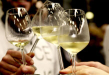 Sorgentedelvino Live: 150 vignaioli a Piacenza Expo