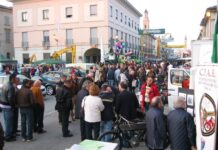 Fiera di San Giuseppe, torna la mostra della razza Frisona