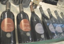 Vinitaly, Cantina Valtidone protagonista con novità di prodotto e immagine