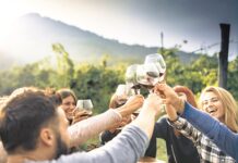 Cantine aperte, degustazioni in vigna