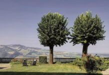 Giardini aperti, con il Fai alla scoperta del parco della Villa di Monte Ramola