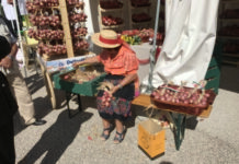 Mistery box nostrana alla Sagra dello Scalogno