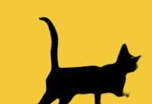 Musiche da brividi per ‘Aspettando Profondo Giallo’