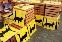 Piacenza si tinge di giallo con il Festival Noir